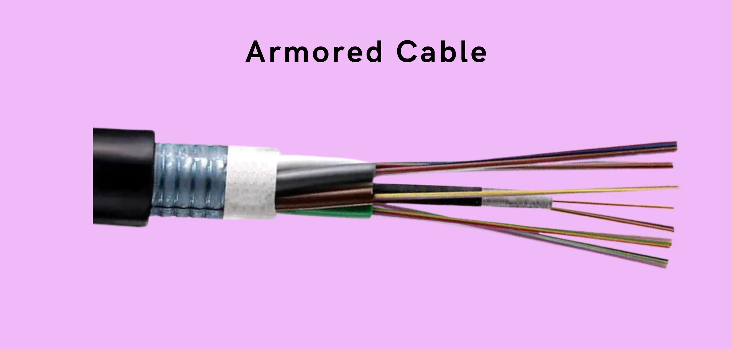 Fiber optic armored cable