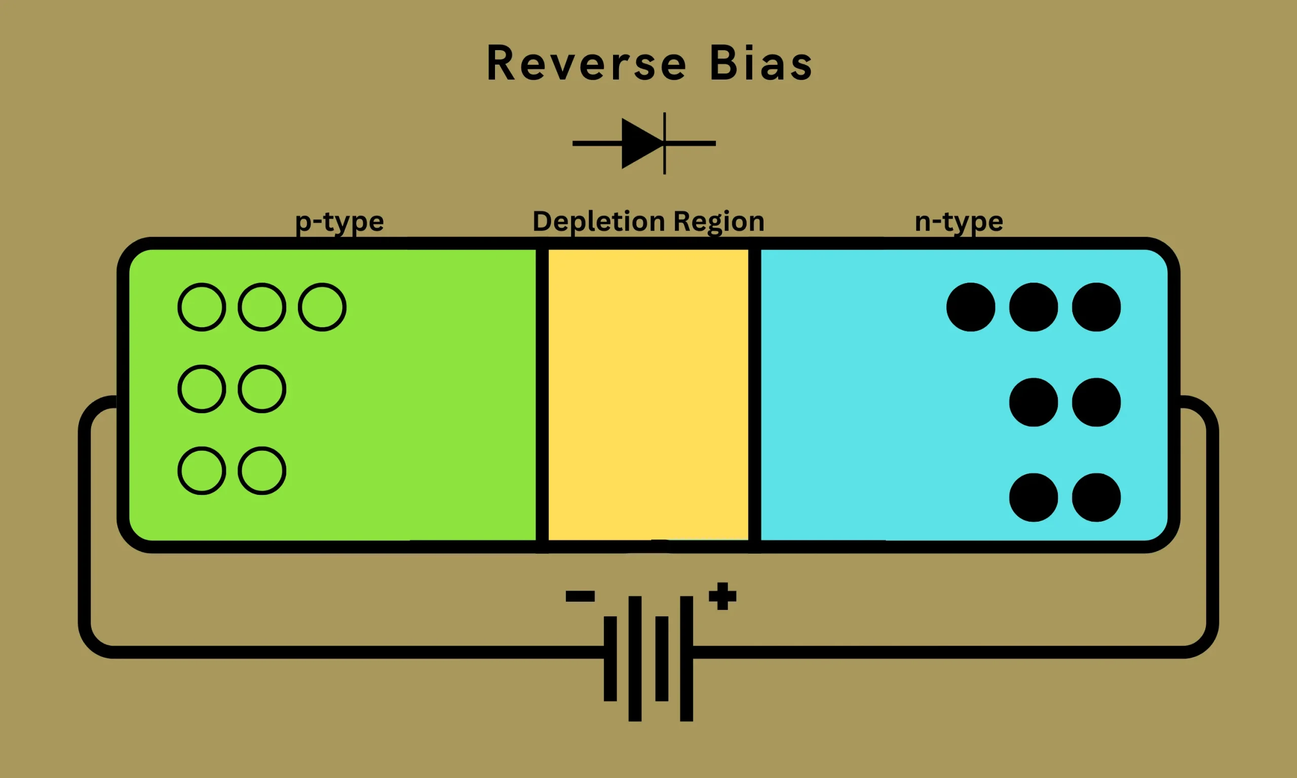 Reverse bias