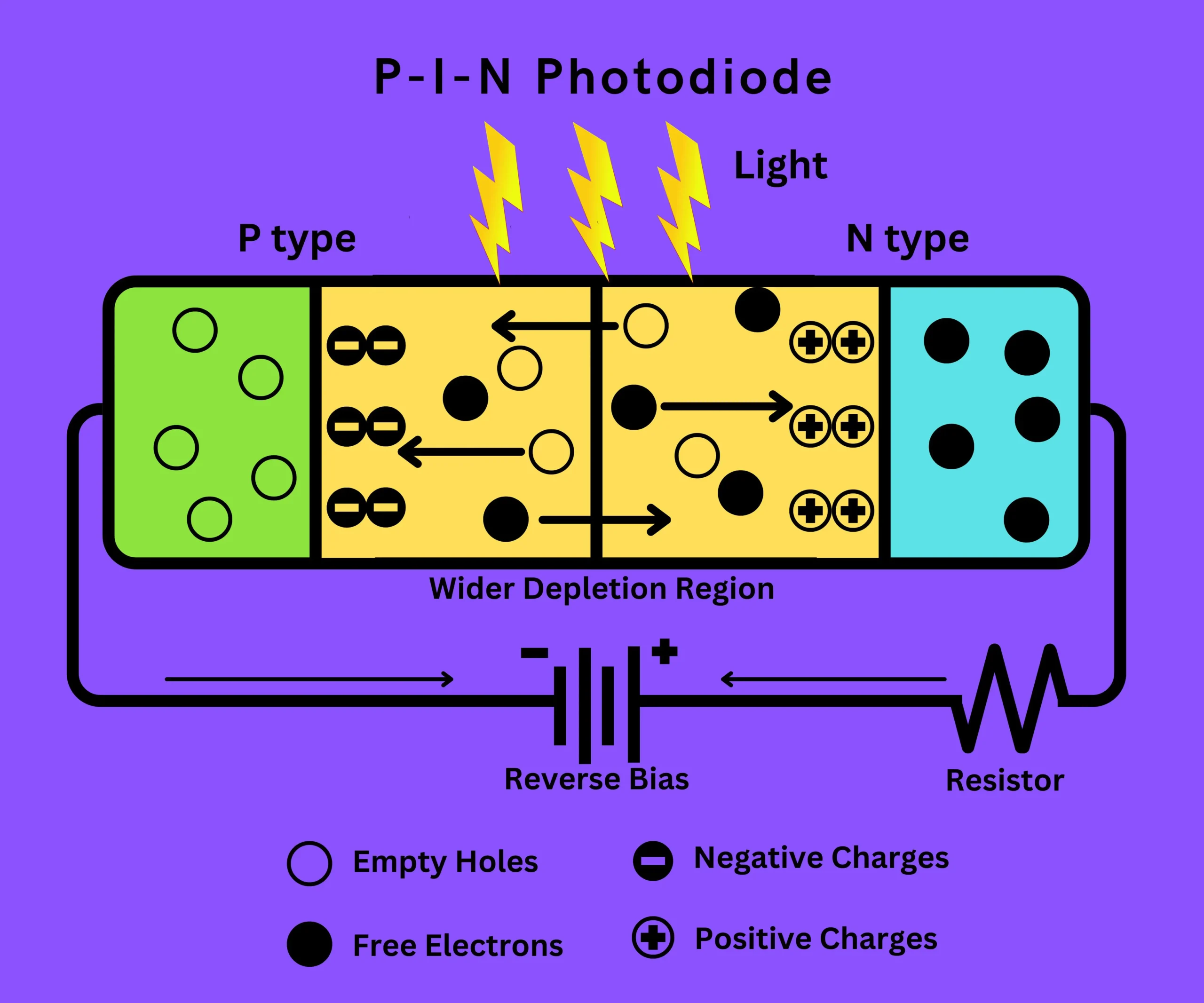 P-I-N Photodiode